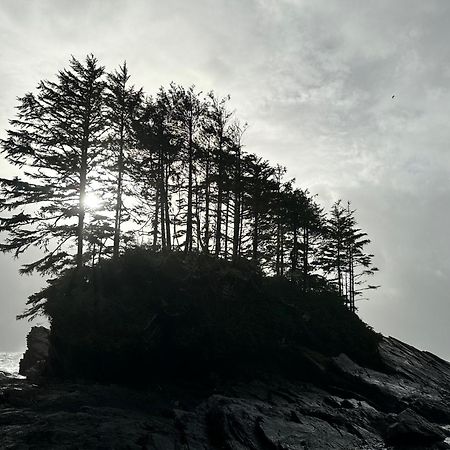 Bjorn Holm Villa Port Renfrew Ngoại thất bức ảnh
