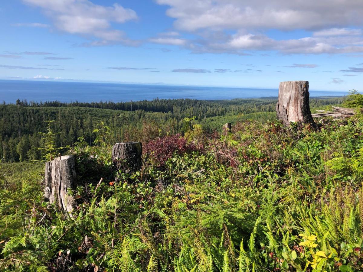 Bjorn Holm Villa Port Renfrew Ngoại thất bức ảnh