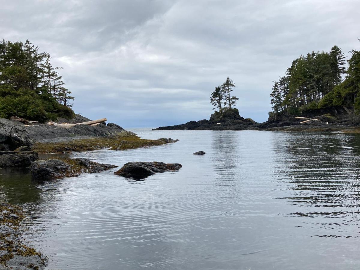 Bjorn Holm Villa Port Renfrew Ngoại thất bức ảnh
