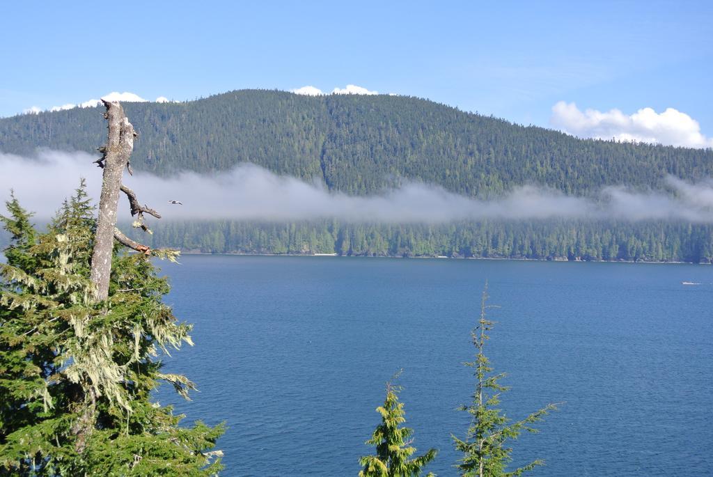 Bjorn Holm Villa Port Renfrew Ngoại thất bức ảnh